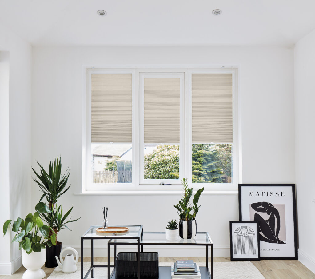 The Blinds Store | Shutters | Quality Blinds